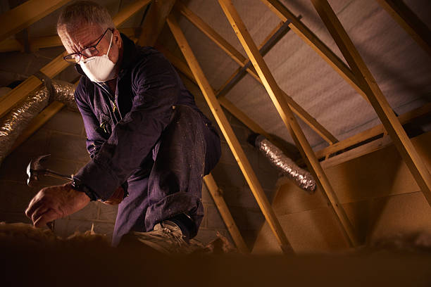 Best Cellulose Insulation in Wildwood Crest, NJ